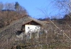 Farming on Alpine Slopes